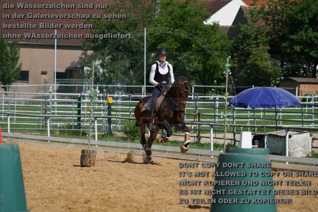 s_K3F06968.JPG